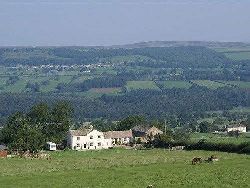 Capple Bank Farm Acomodação com café da manhã Wensley Exterior foto